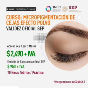 MicropigmentaciĂłn de Cejas Efecto Polvo